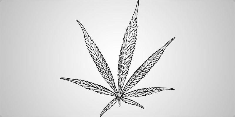 What Does It Feel Like To Be High On Weed?