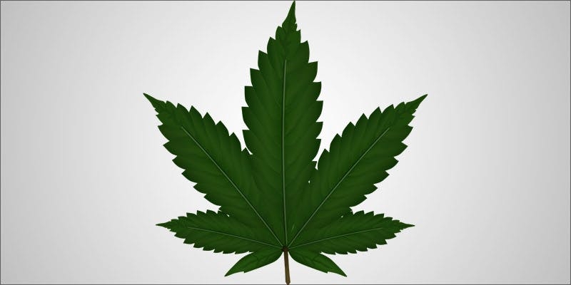 What Does It Feel Like To Be High On Weed?