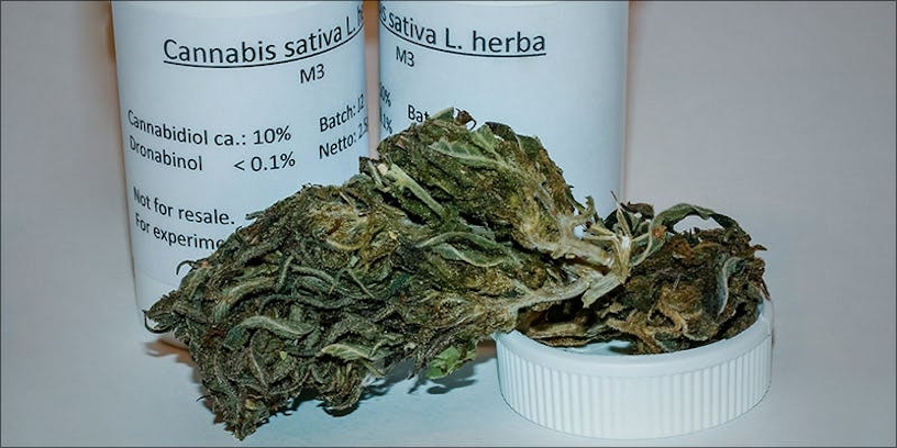 What Does It Feel Like To Be High On Weed?