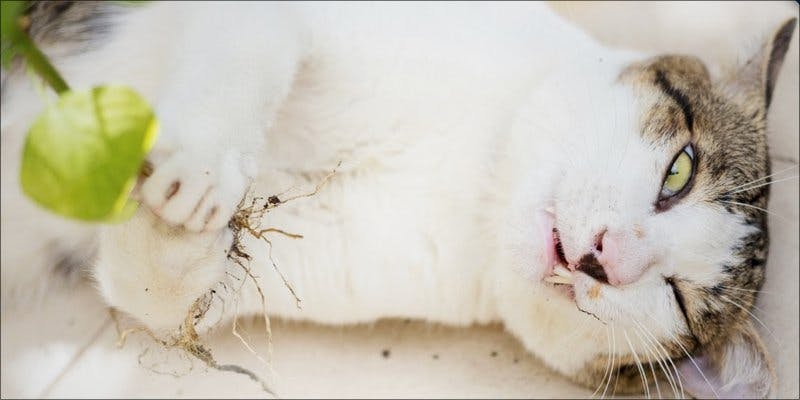 11 Weird Ways People Are Getting High