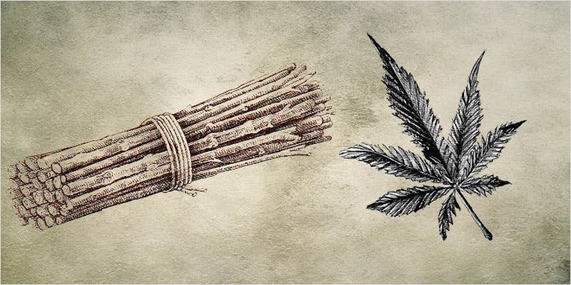 10 Creative Hacks For Reusing Your Marijuana Stems