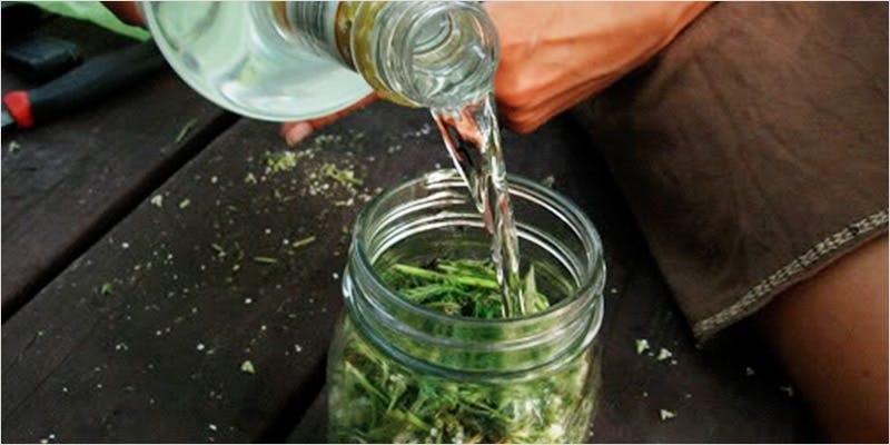 10 Creative Hacks For Reusing Your Marijuana Stems