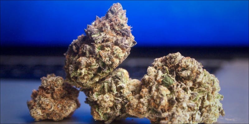 Top 10 Best Hybrid Weed Strains Ever Grown