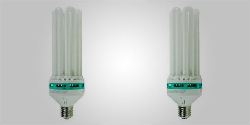 Everything You Need For A Low-Cost Closet Grow