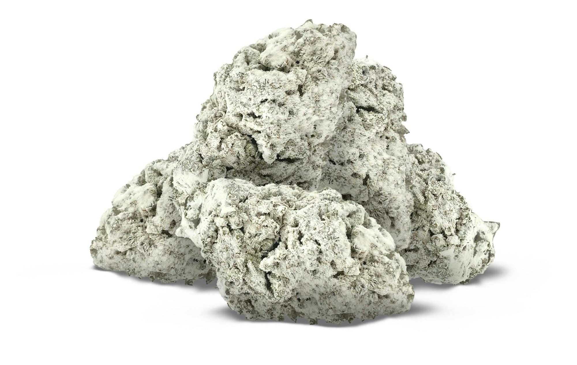 snowballs close-up