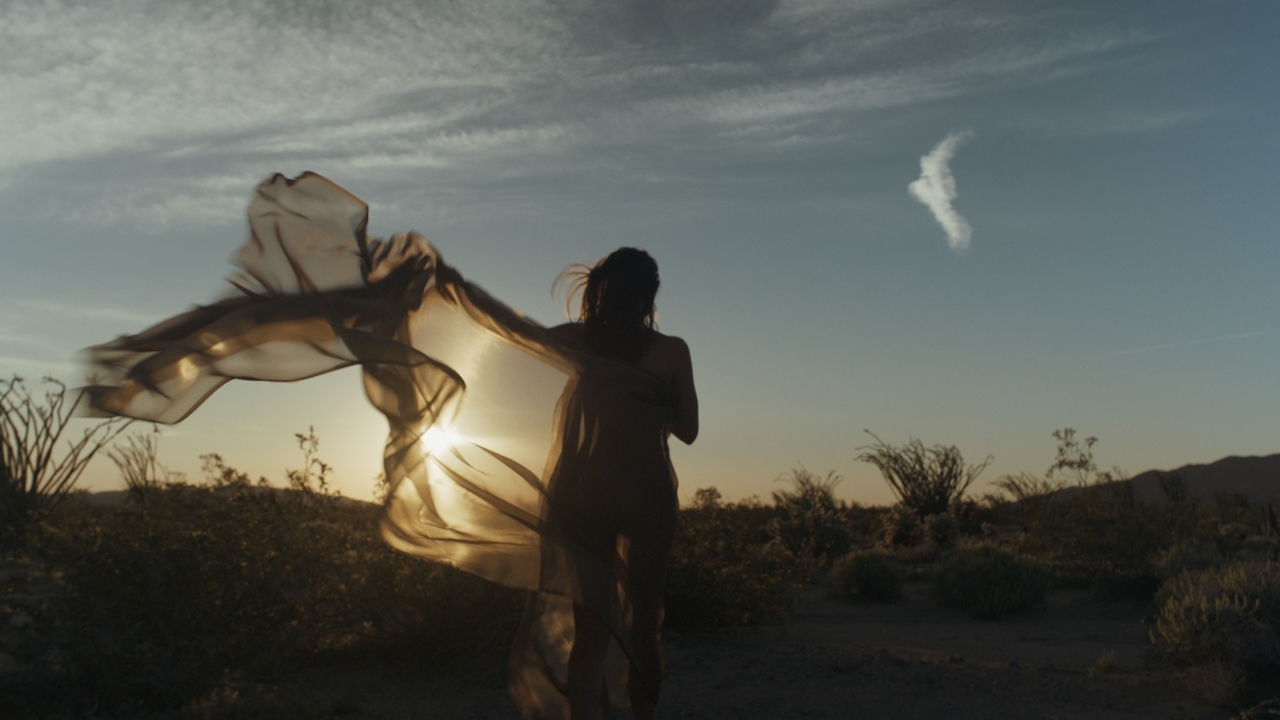 Meet The Country’s Fastest-Growing Kratom Brand: Tusk Kratom