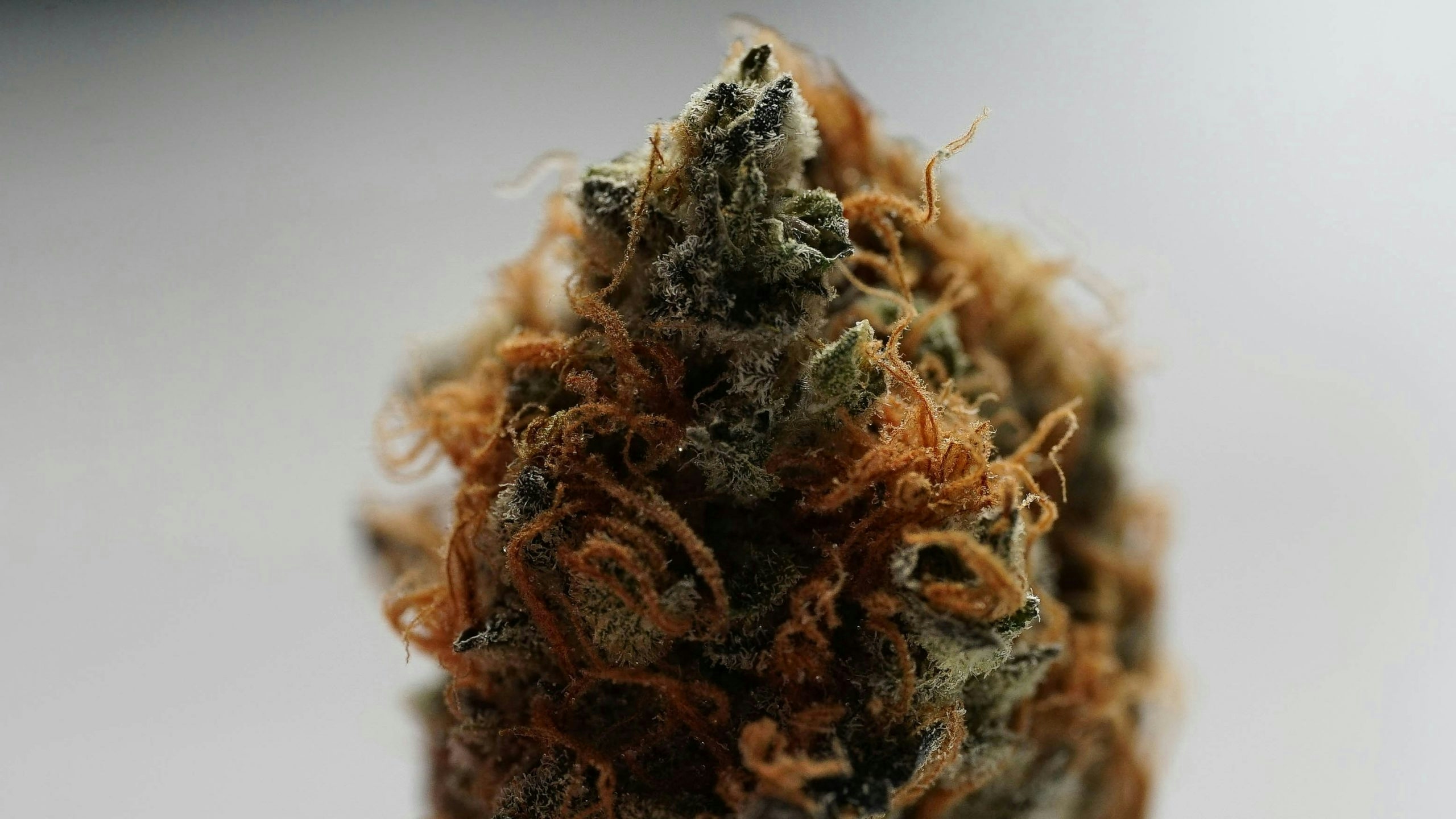 Weed Measurements: Weights, Quantities, And Prices Explained