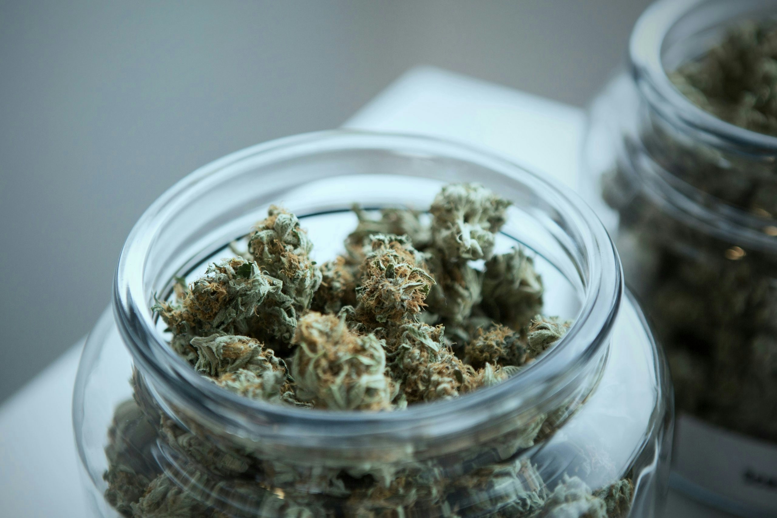 jar filled with cannabis