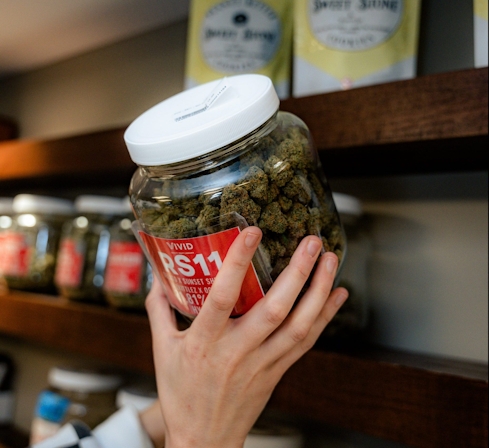 Field Trip: 5 Things To Do This Summer In St. Louis, MO