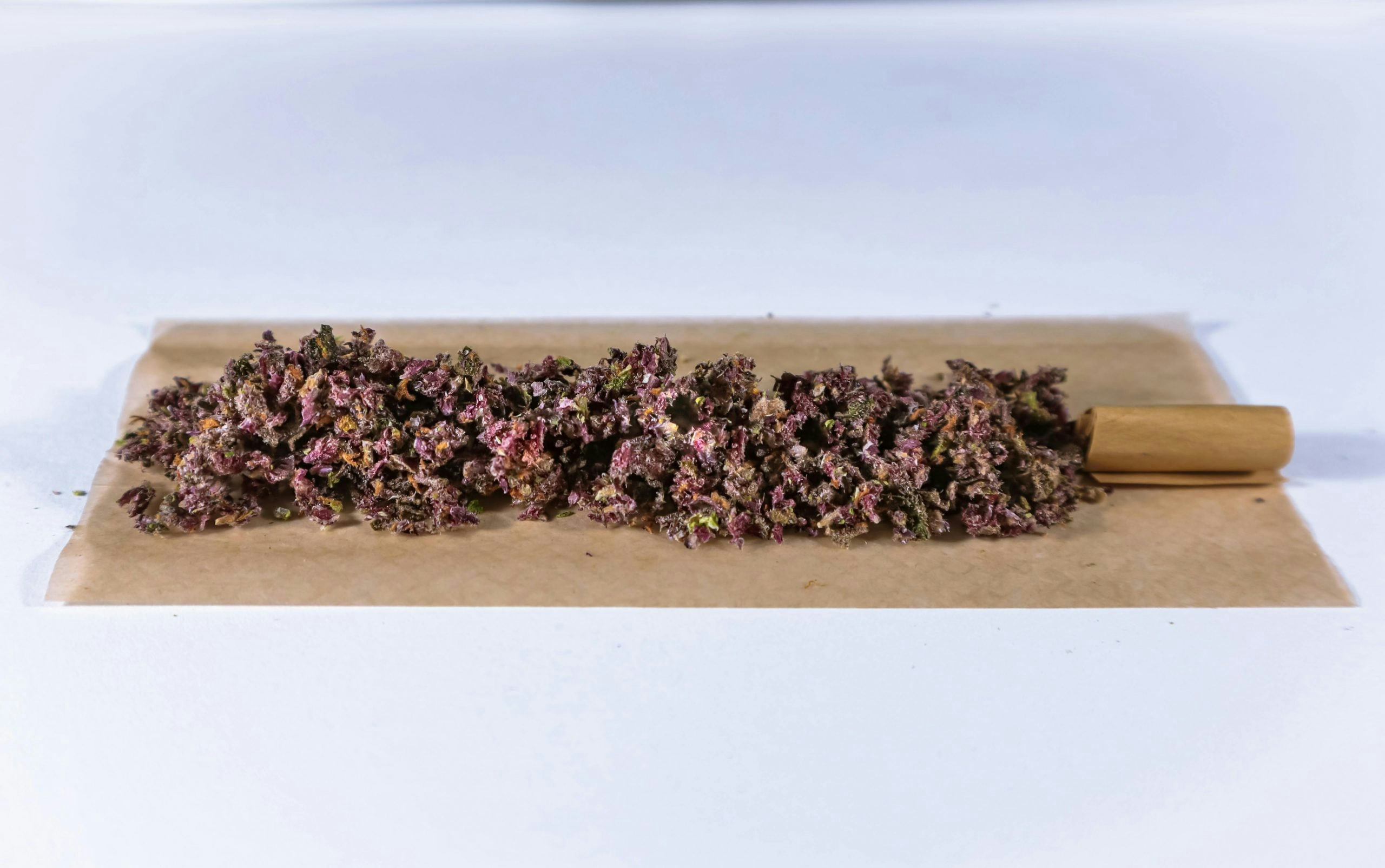 What Is Milled Flower & Why Is Pre-Ground Weed Cheaper?