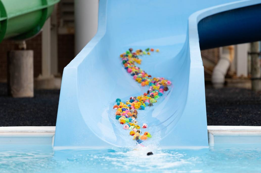 Field Trip: What To Do In Carol Stream, Illinois For A Vibeworthy Time