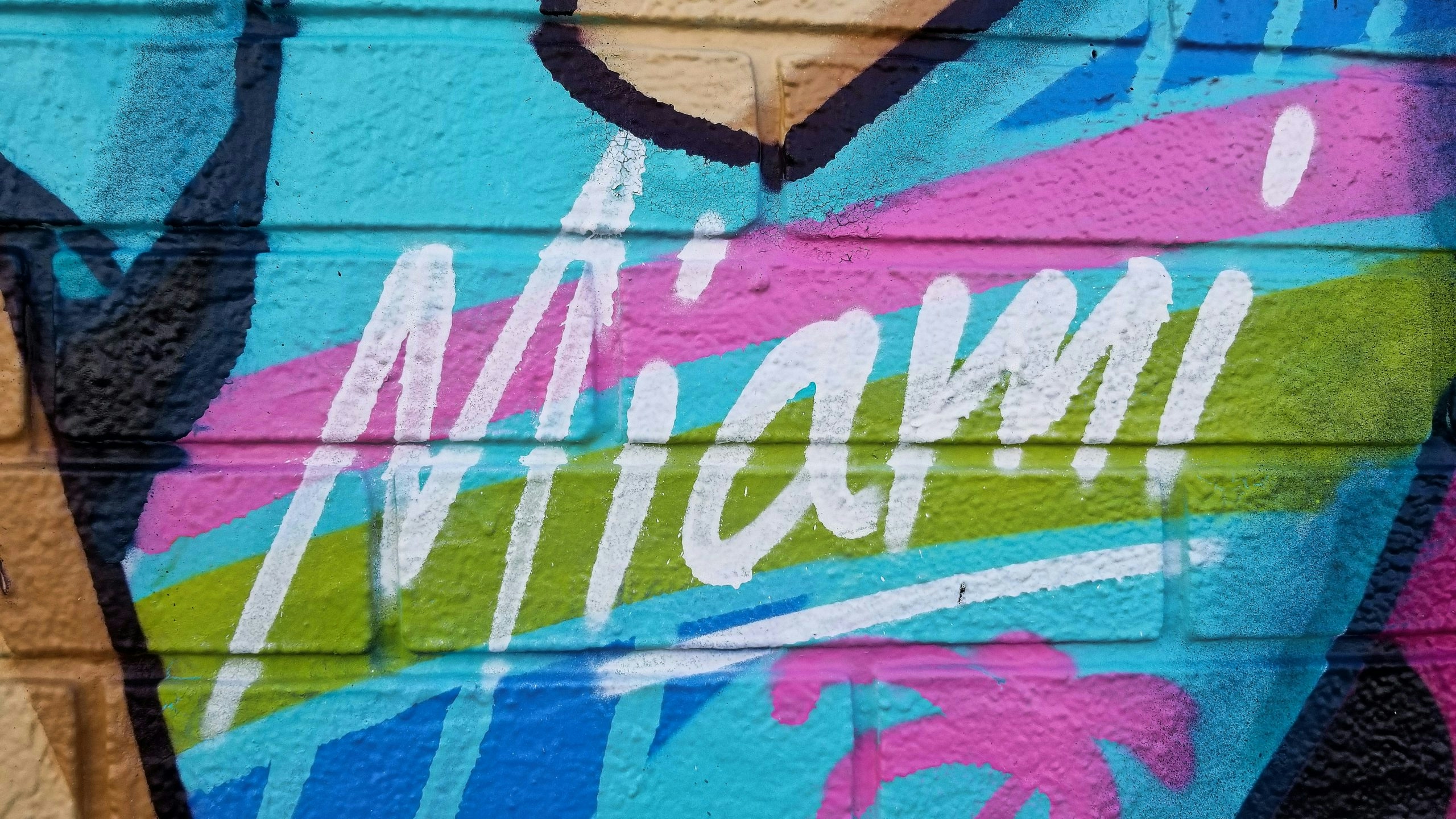 Getting Weed in Miami: Where To Find, Buy, and Laws Around Cannabis