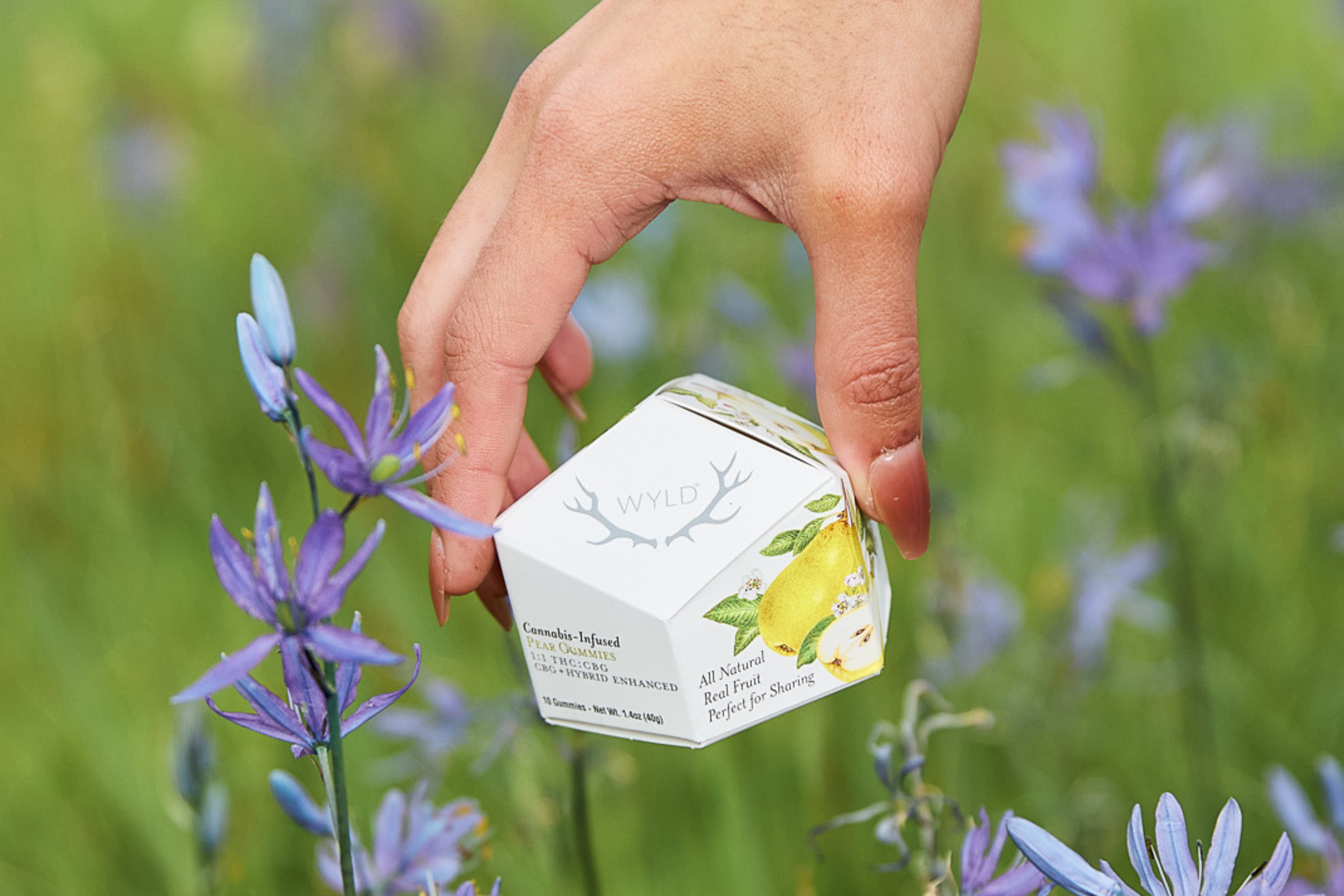 wyld gummies