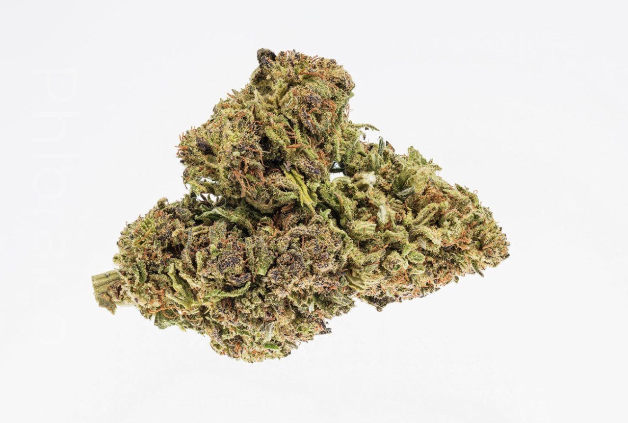 12 Best Haze Strains You Need To Try