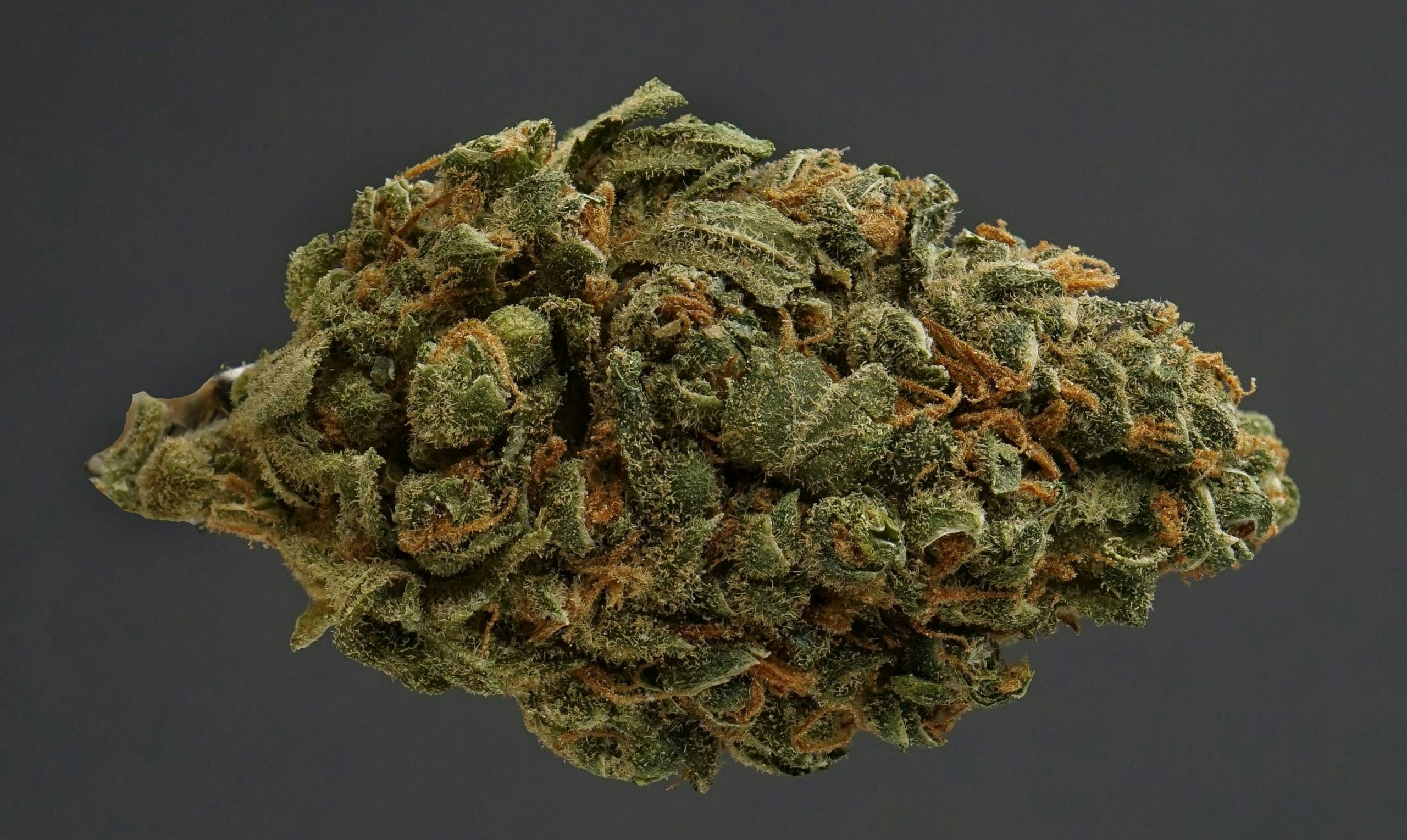 12 Best Haze Strains You Need To Try