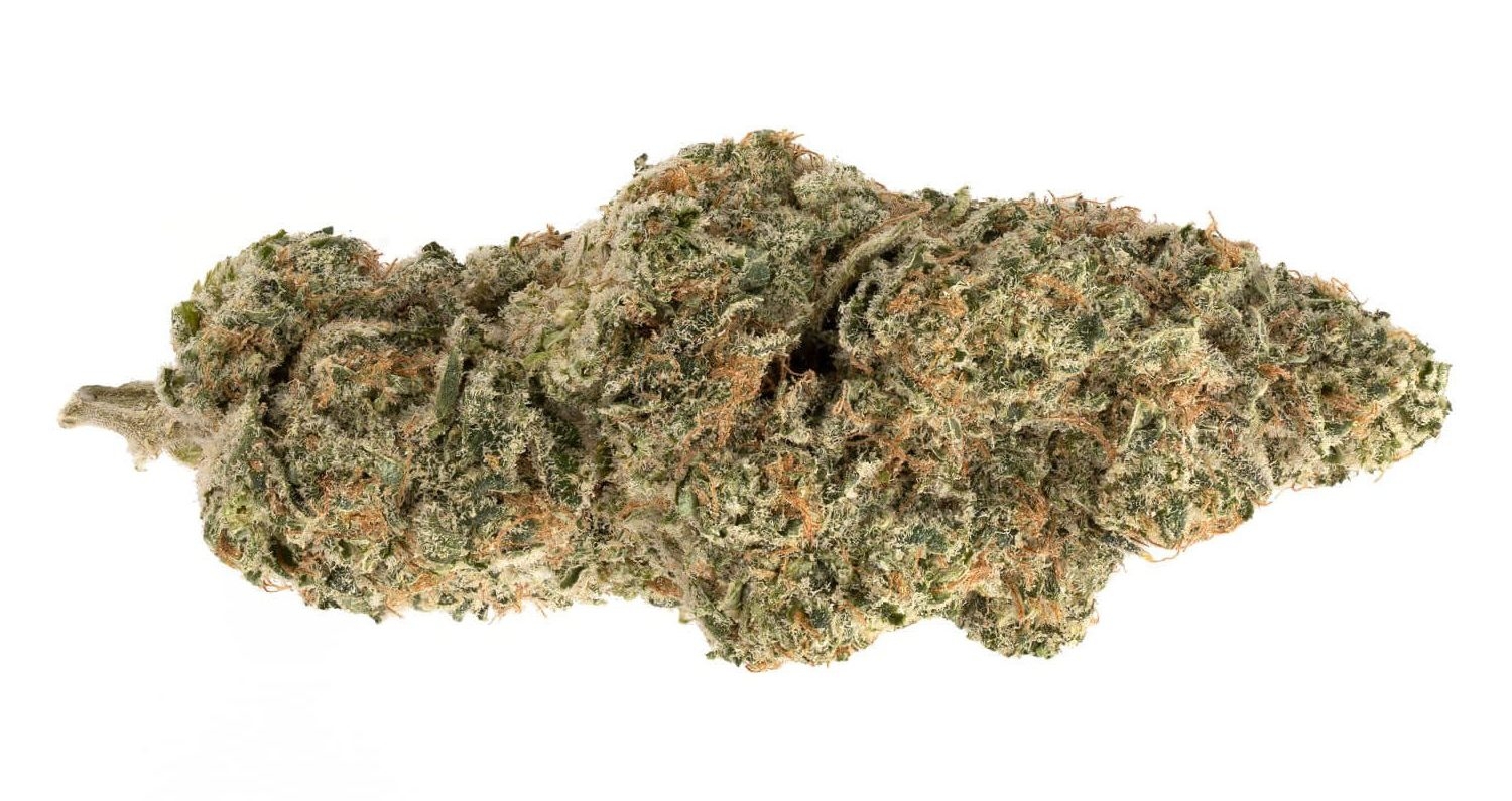 12 Best Haze Strains You Need To Try
