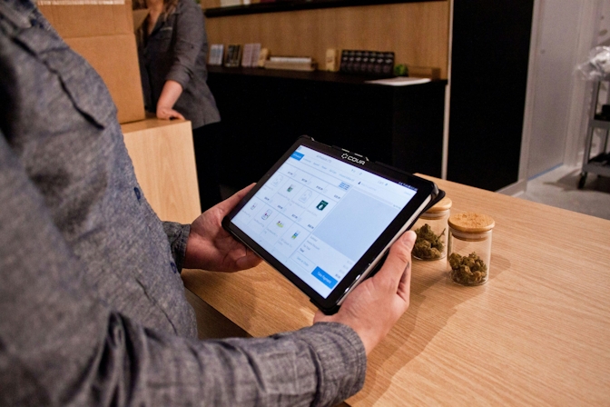 How Much Do Weed Dealers Make? Is Selling Weed Profitable?