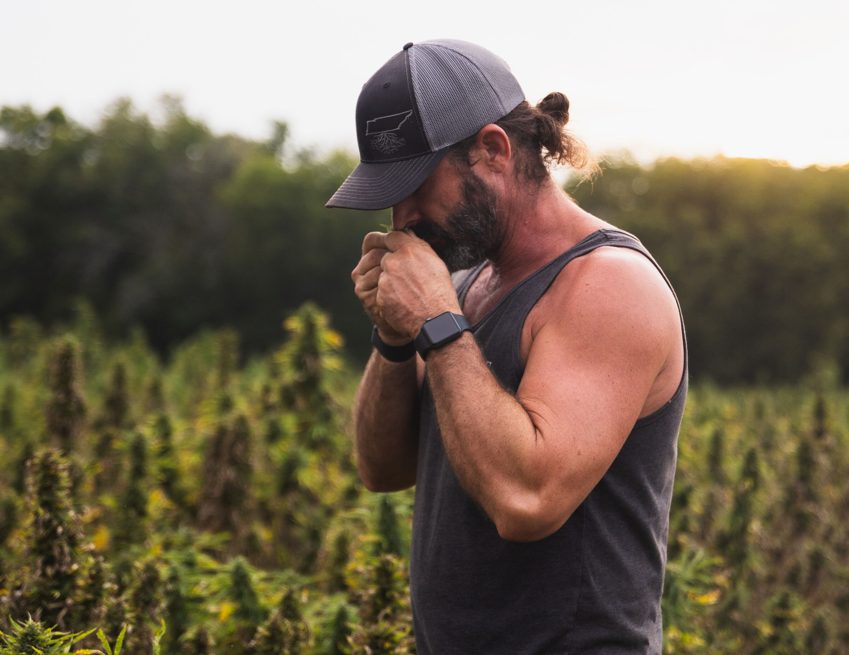 The Terpene Universe With Abstrax: Refining Your Cannabis Palette