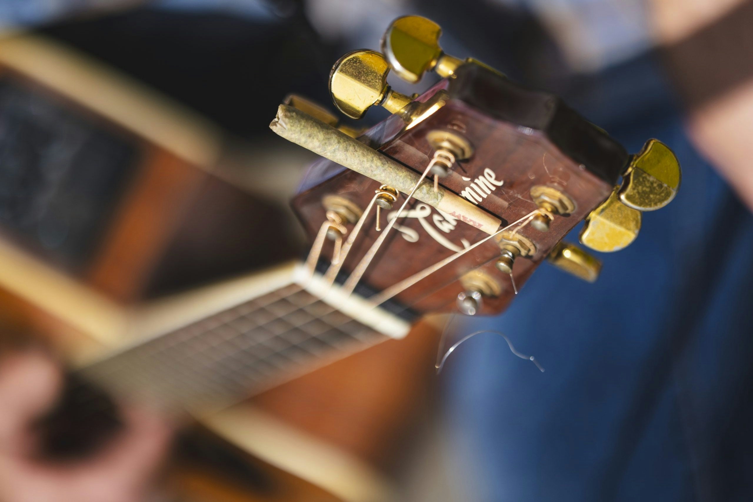 Smoke Up With The Best Weed In New Jersey This Fall