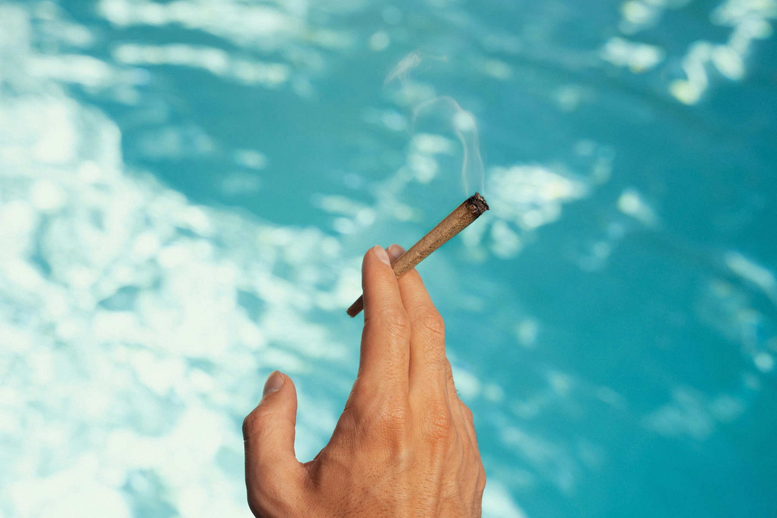 The Best High-THCA Flower Strains For Sleep And Relaxation