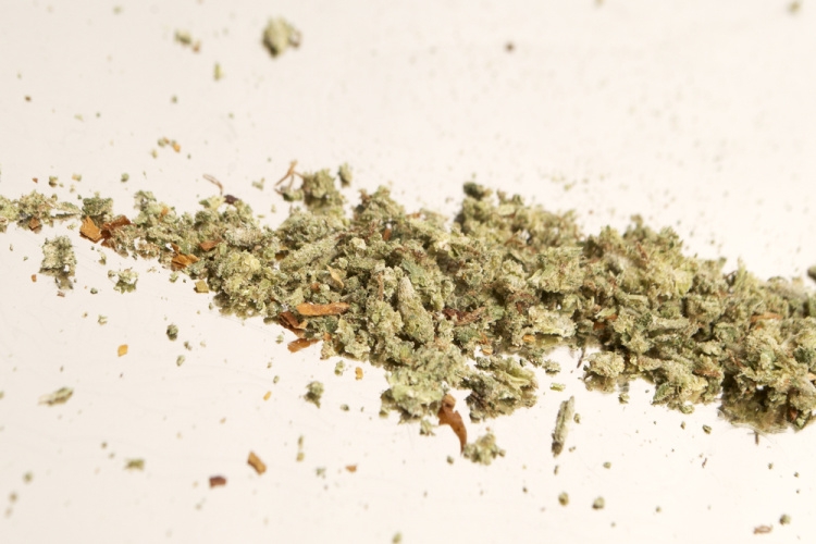 Old Pal Cannabis – Herb’s Old Pal Pre Ground Review