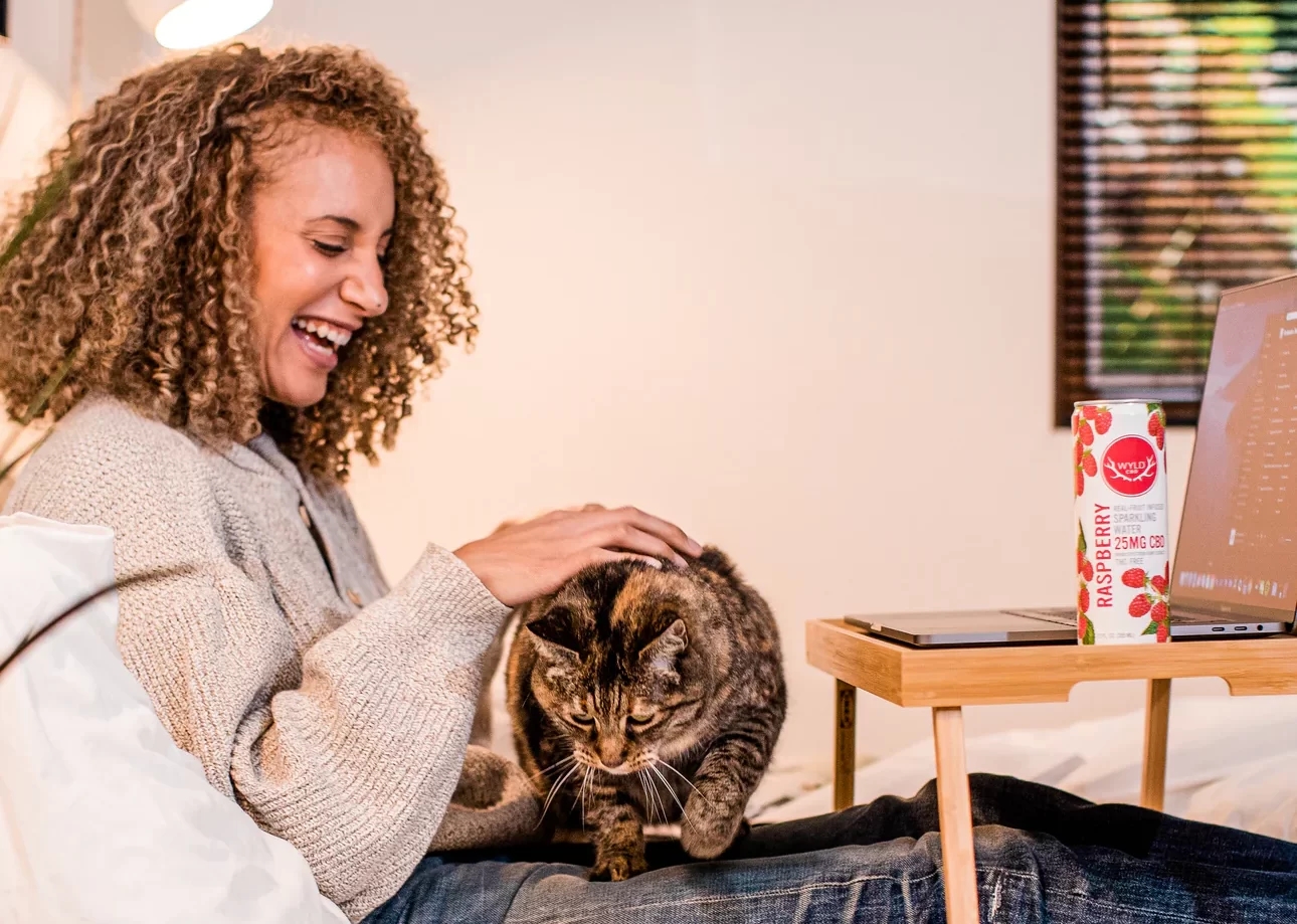 CBD Pills, Softgels & Capsules: The Ultimate Buyers Guide