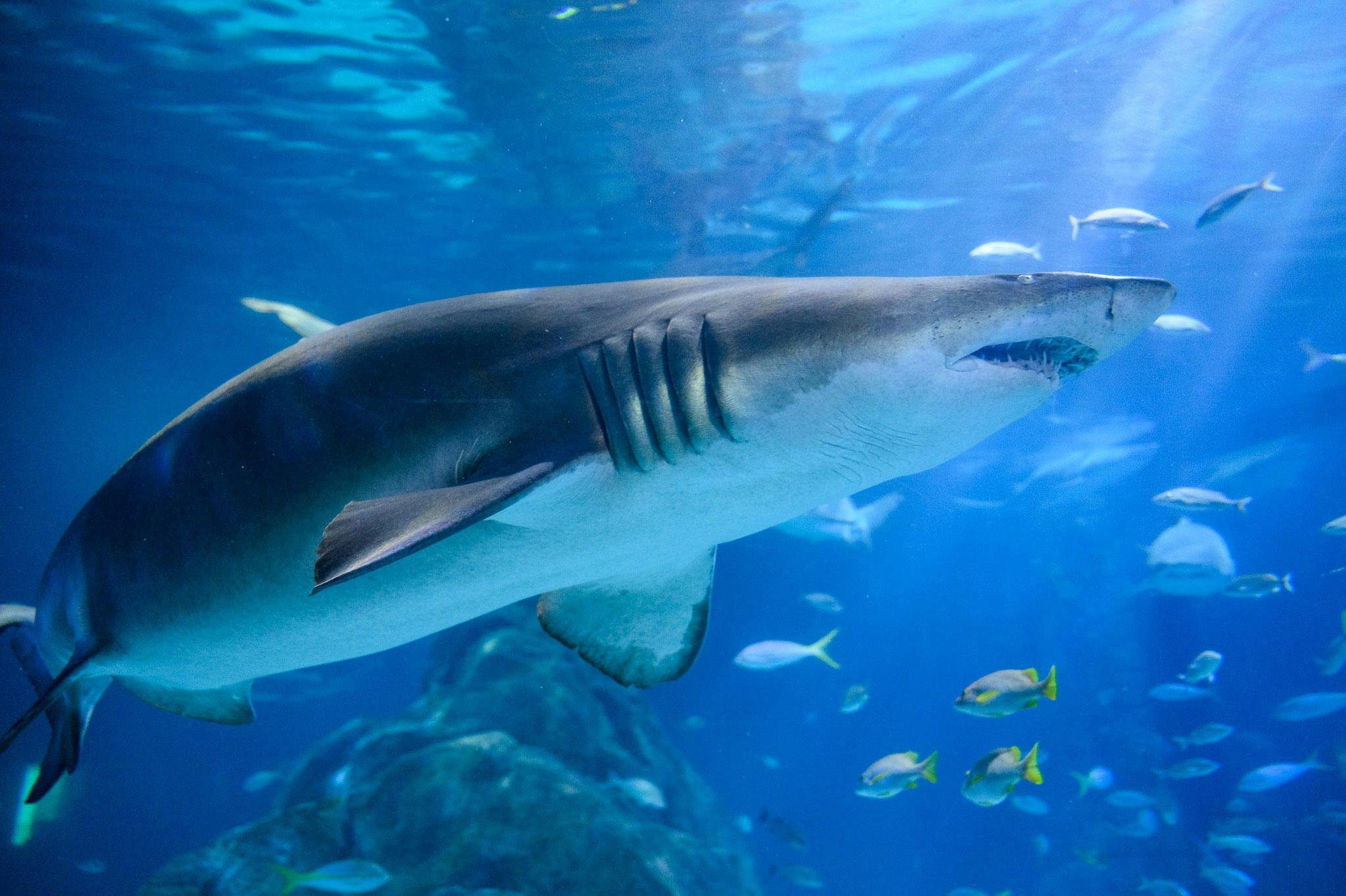 Field Trip: A Weed-Friendly Visit To South Jersey