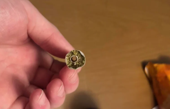 8 Different Types Of Weed Joints Around The World