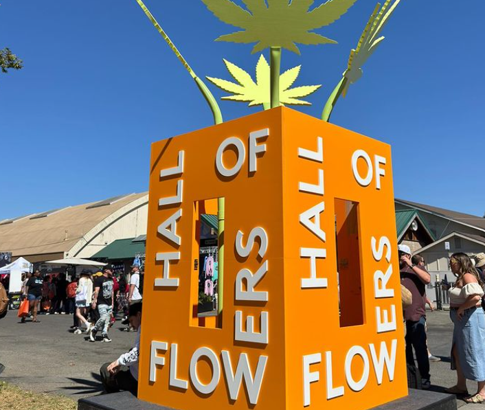 Hall Of Flowers 2024: The Recap You Needed