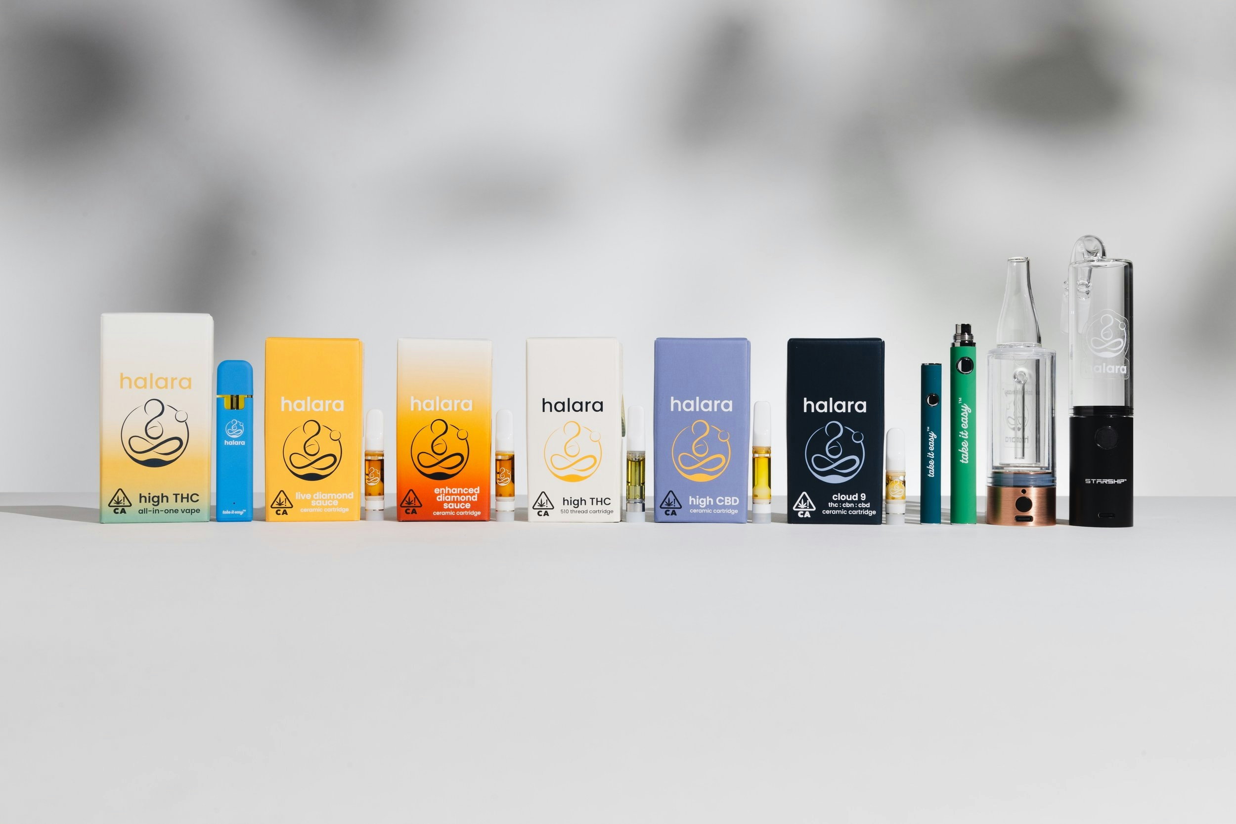 Hall Of Flowers 2024: The Recap You Needed