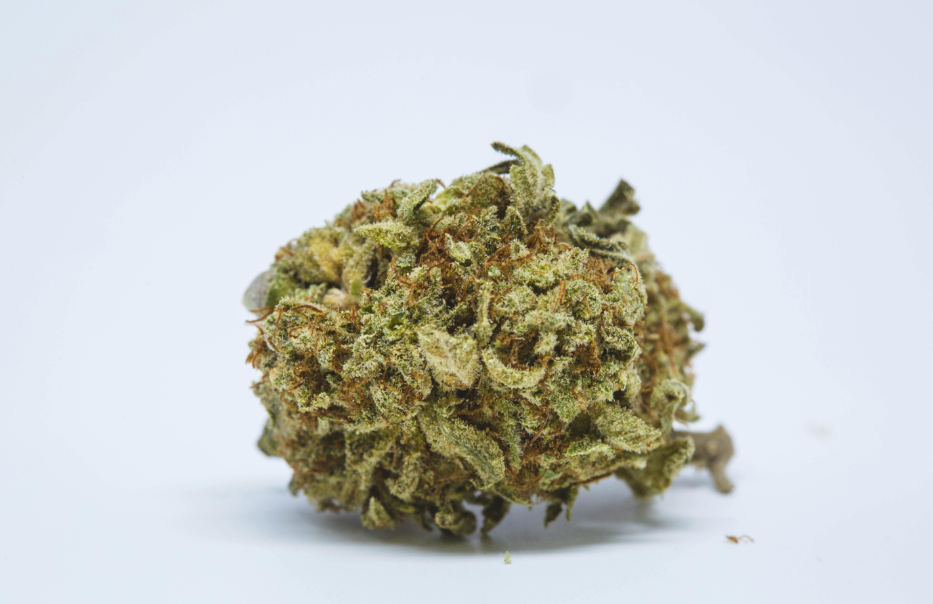 How Much Is Weed In Jamaica? What A $20 Bag Of Weed Looks Like