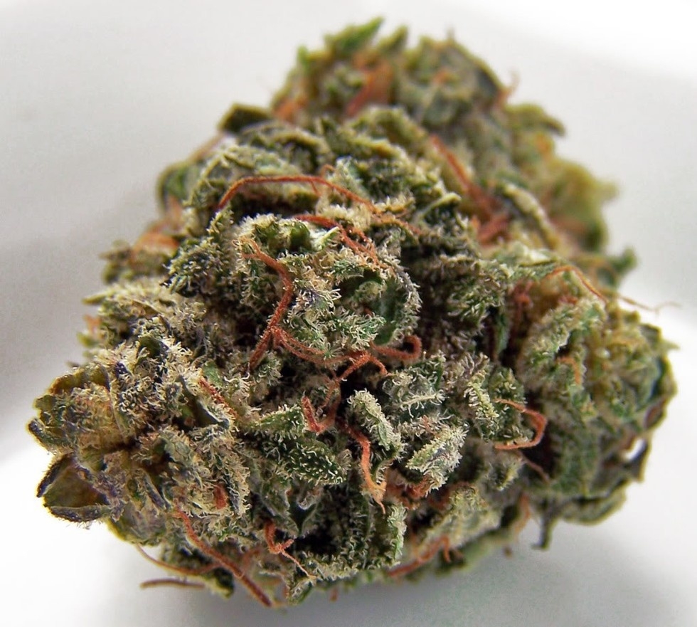 How Much Is Weed In Jamaica? What A $20 Bag Of Weed Looks Like