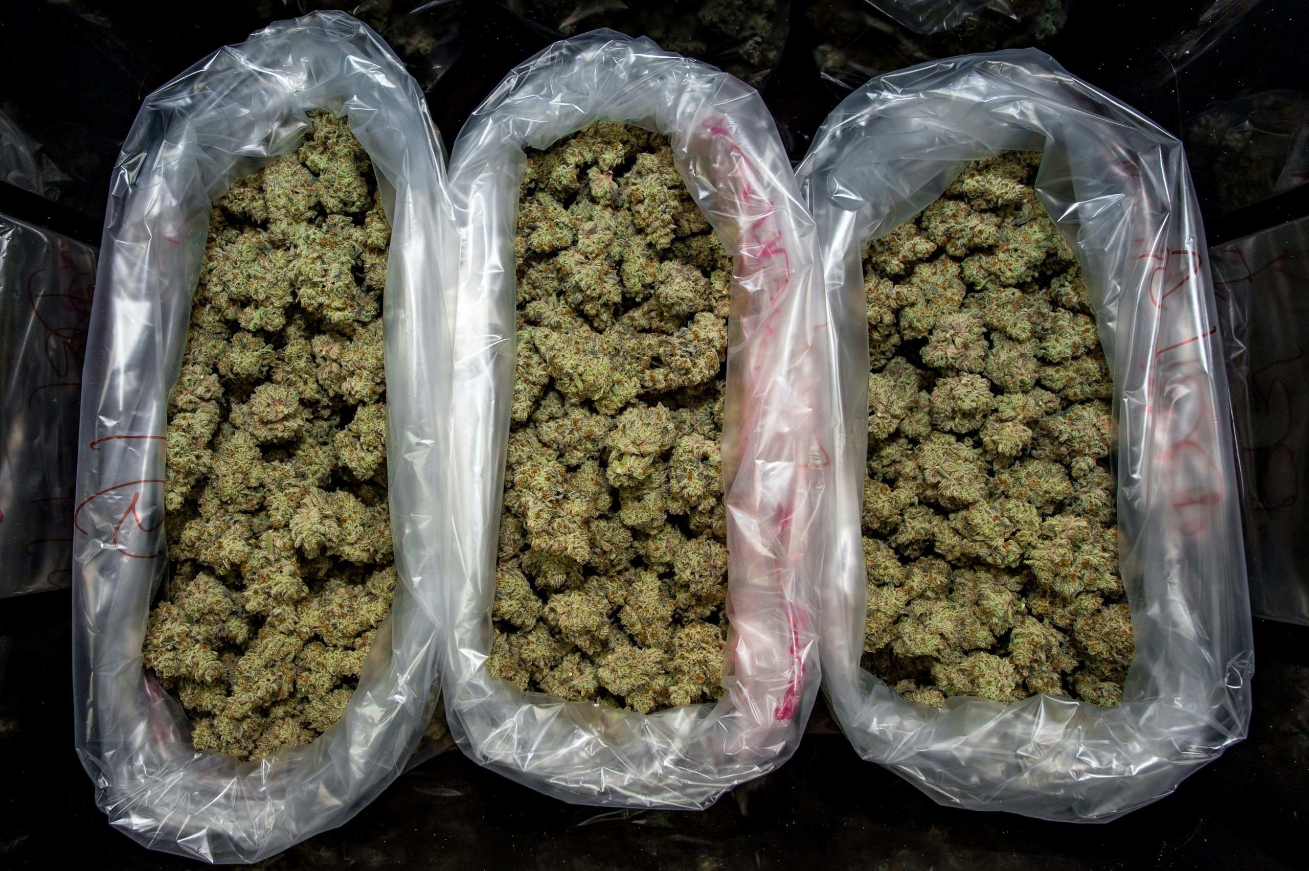 Why Choose The Flowery For Medical Cannabis In Florida?