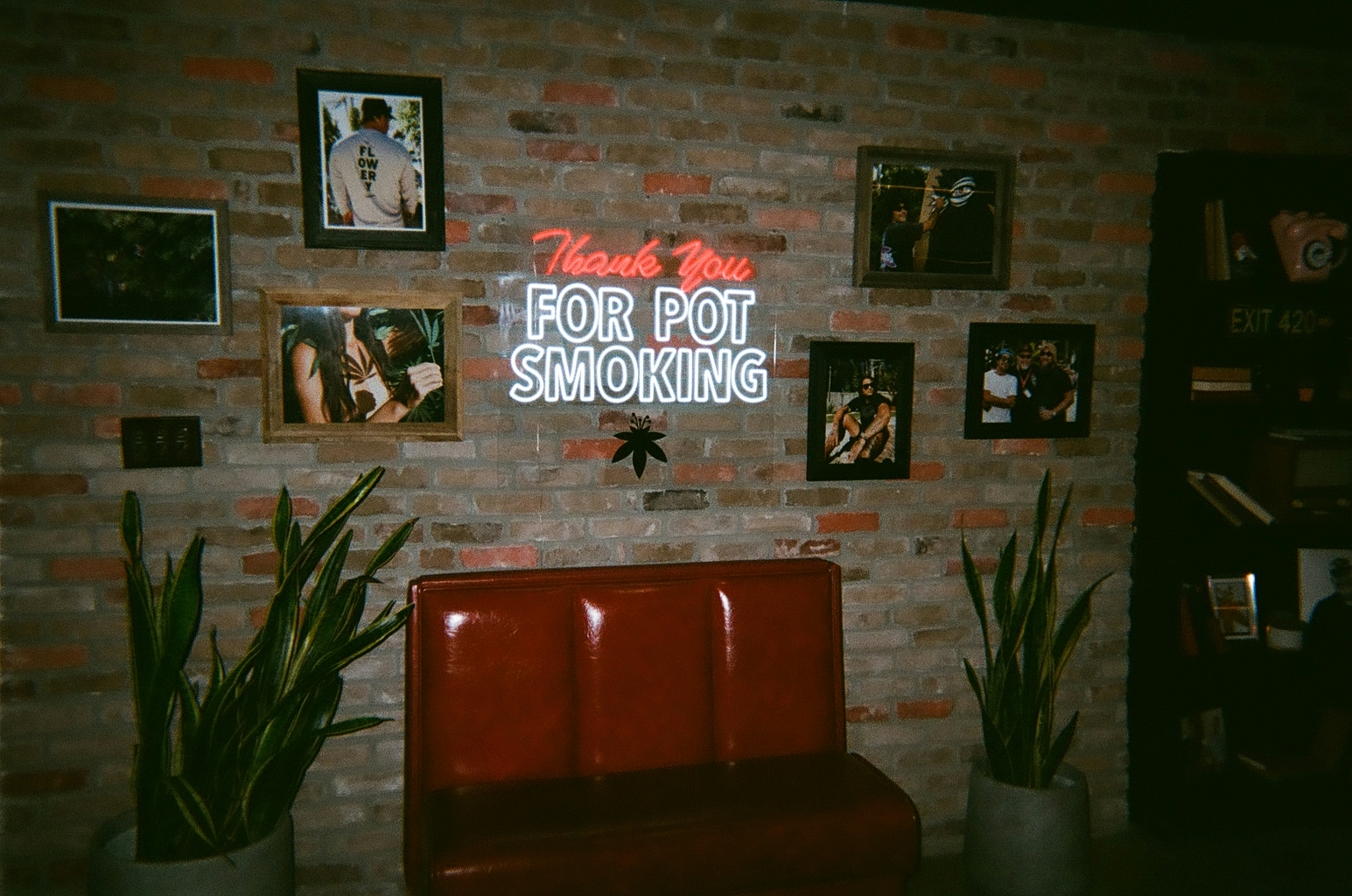 Why Choose The Flowery For Medical Cannabis In Florida?