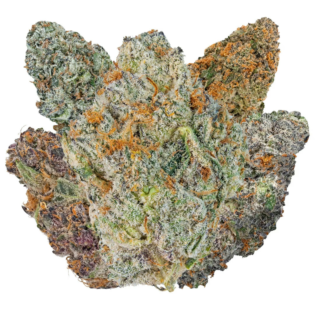 Flower Sampler Bundle