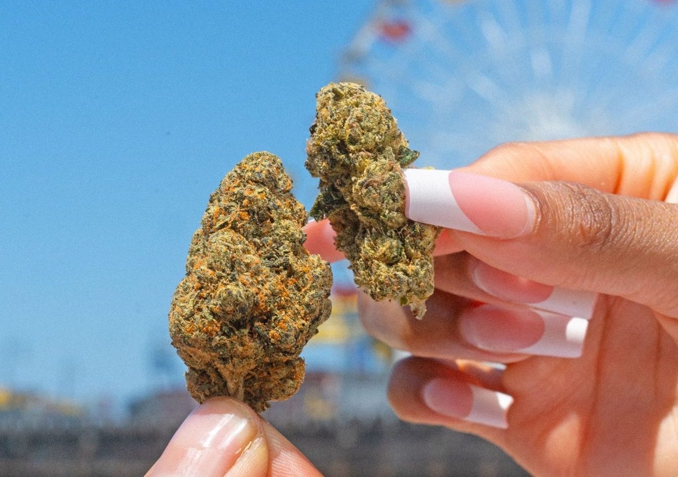 The Reviews Are In: Bay Smokes Flower Is Certified Fresh