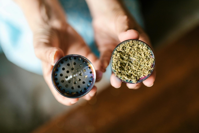 5 Reasons Why You Should Never Use Plastic Grinders