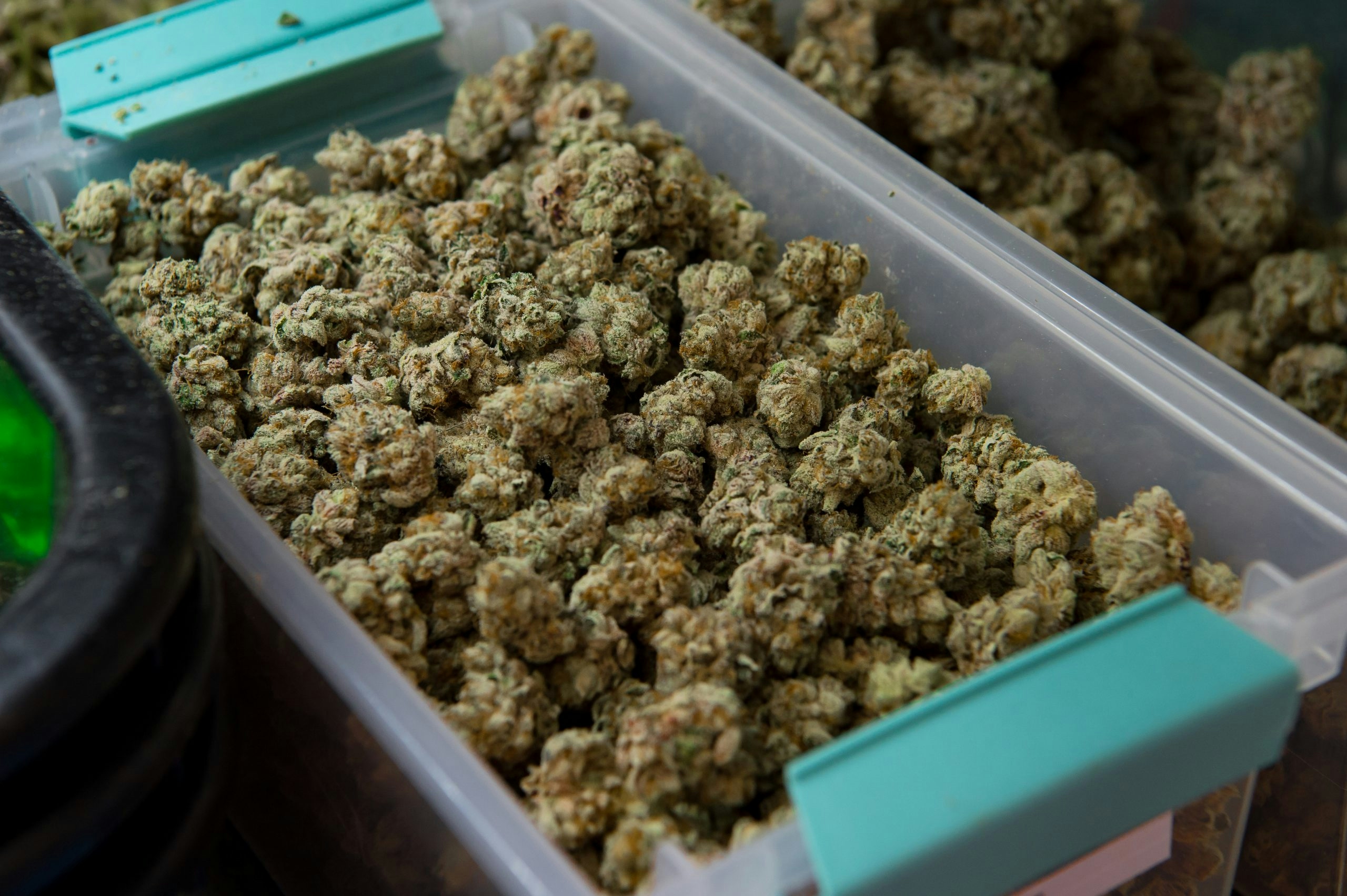 This Dispensary Has The Best Weed In Florida