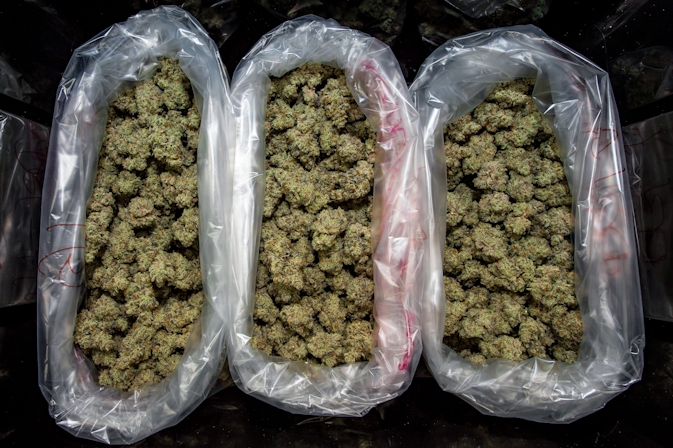 This Dispensary Has The Best Weed In Florida