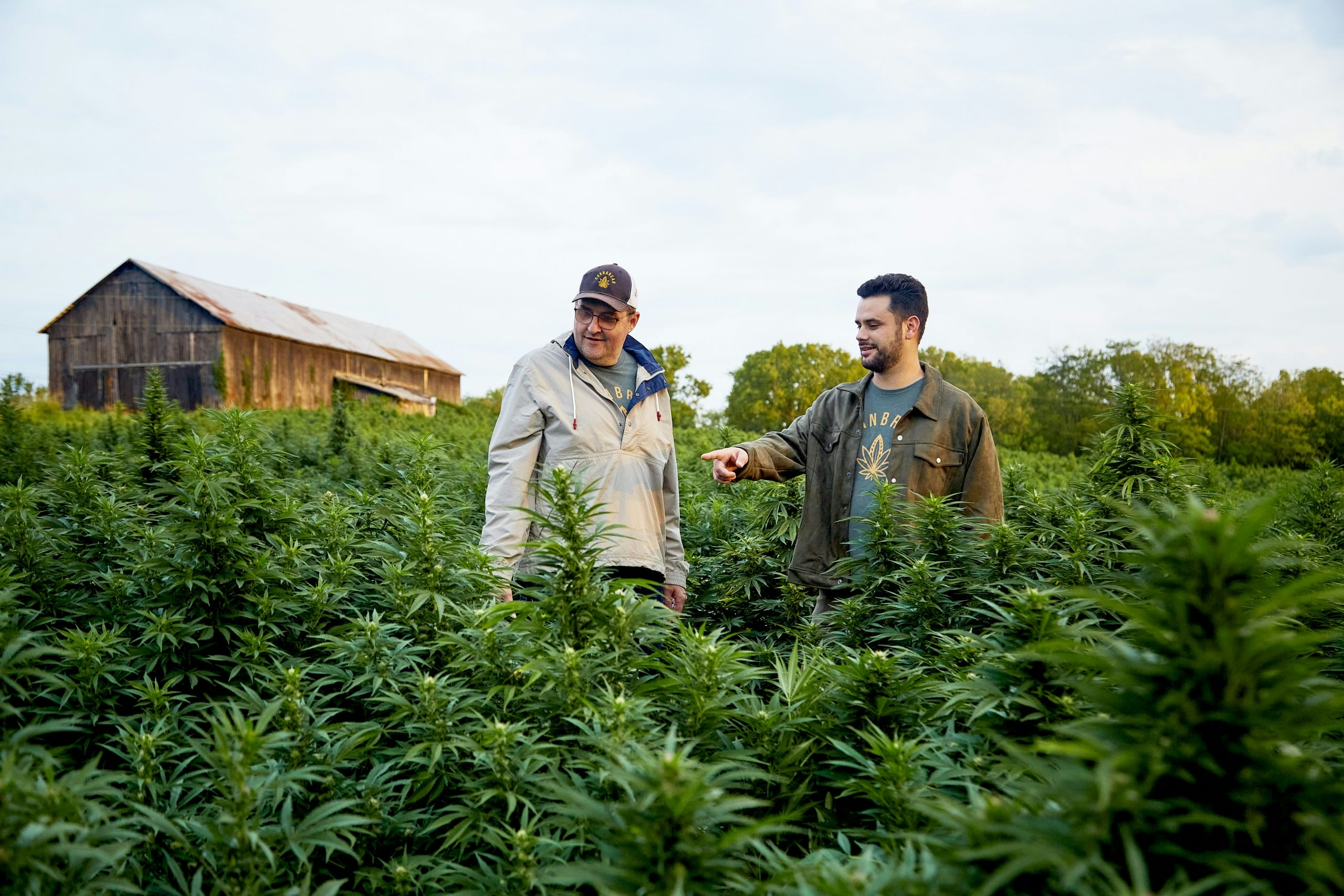 Natural Vs. Synthetic THC: Which Are You Really Consuming?