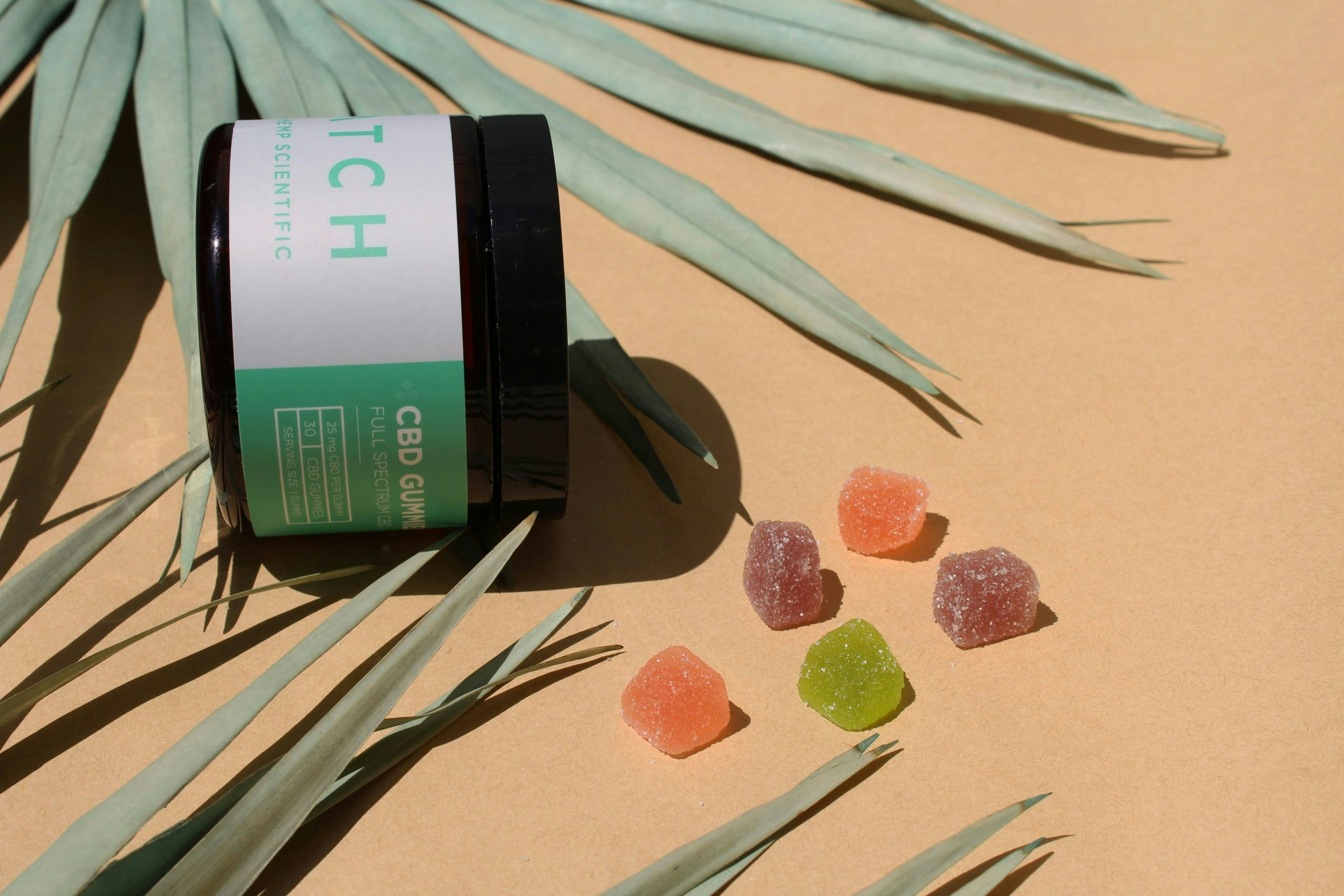 CBD, CBN, CBG, & THC: A Guide To Cannabinoids In Edibles