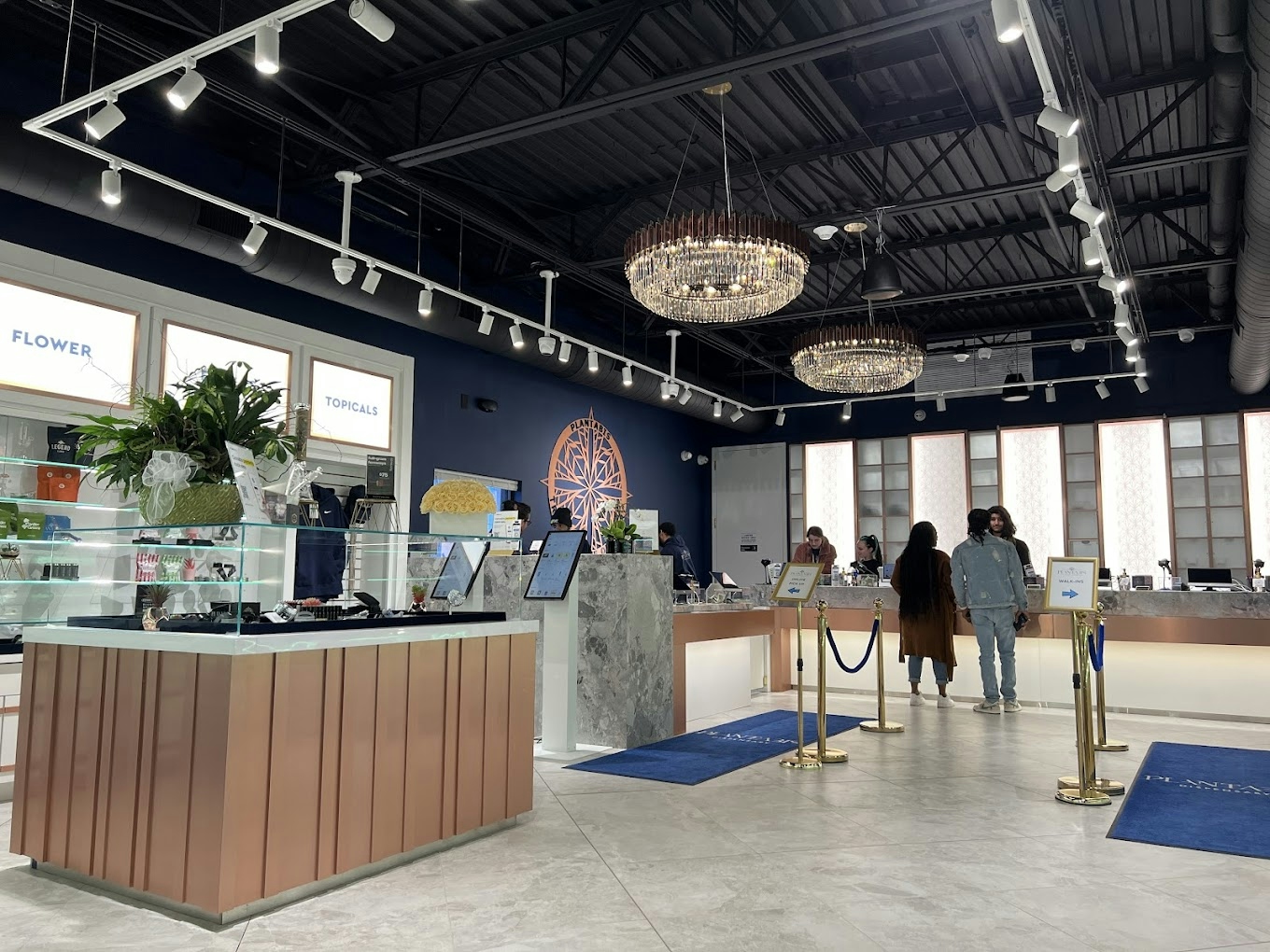 Best Dispensaries In New Brunswick, New Jersey