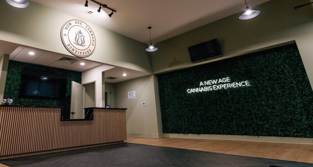 Field Trip: A Weed-Infused Visit To New Brunswick, NJ