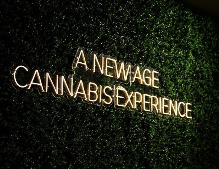 Division 1 Athletes Approve This New Brunswick, NJ Dispensary’s Weed