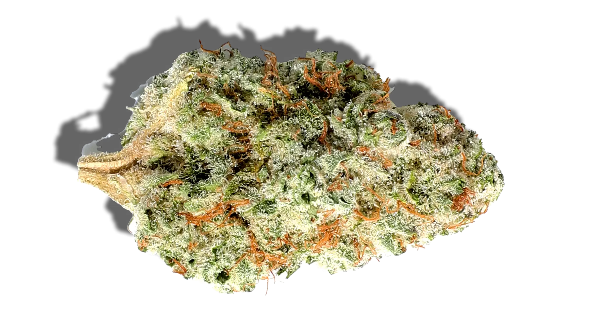 10 Best Sativa Strains 2025 Has To Offer