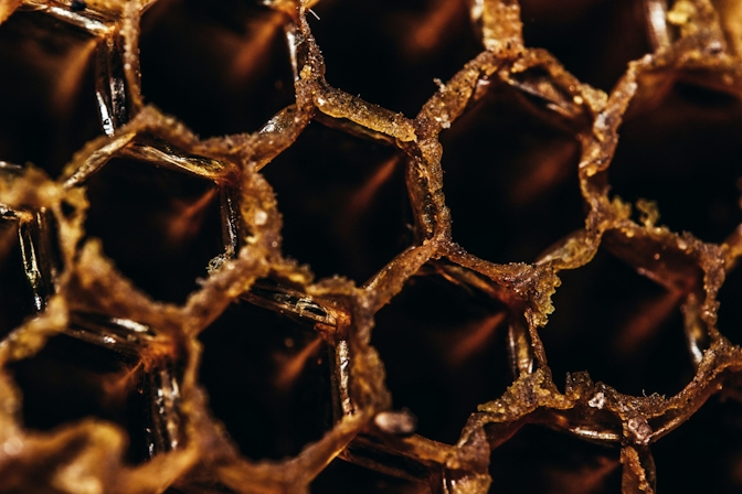 Buying Ancient Himalayan “Mad Honey” Online: What You Need To Know