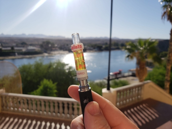 Left Coast Extracts Review: Hype Or The Real Deal?