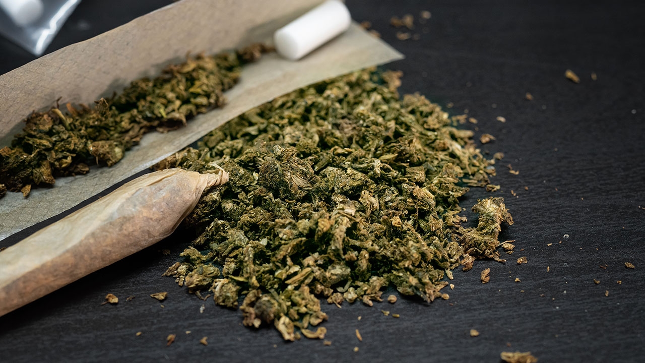 Is Sticky Weed Good? Is Wet Weed Better Than Dry?