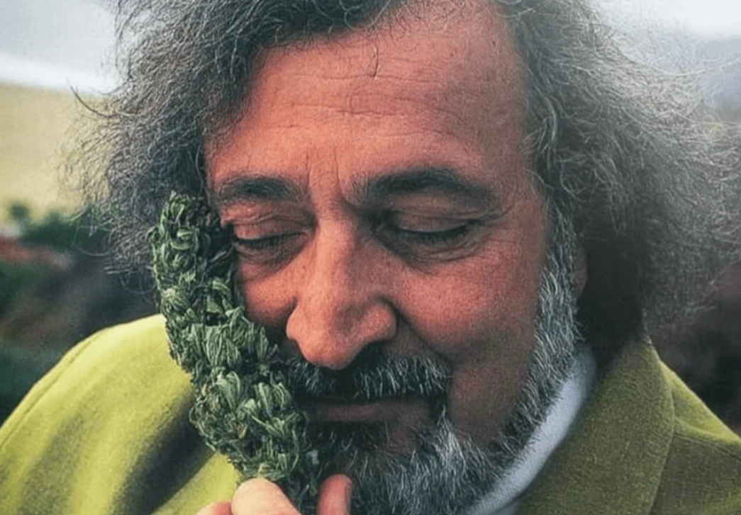 famous stoners in history