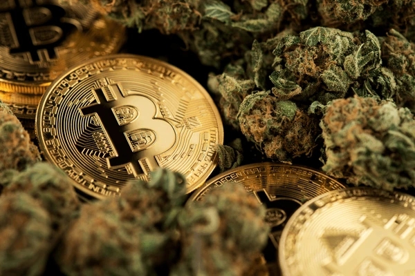 cannabis crypto coin